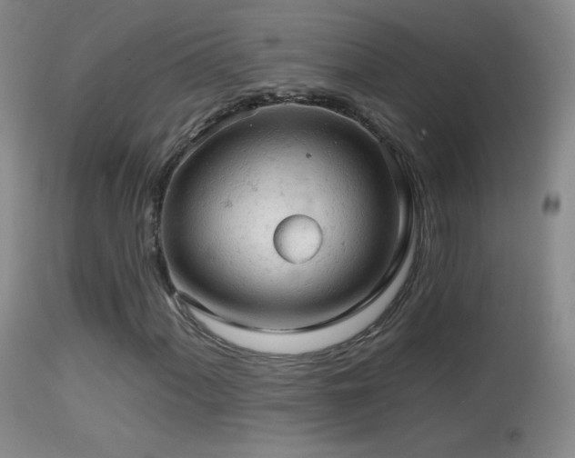 X0000114651060200910201503