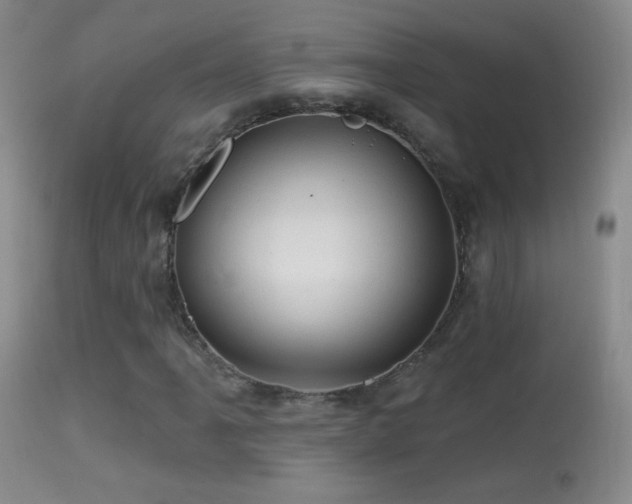 X0000114651061200910201503