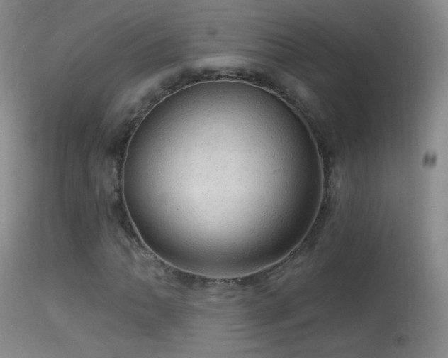 X0000114651062200910201503