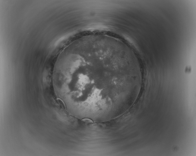 X0000114651063200910201503