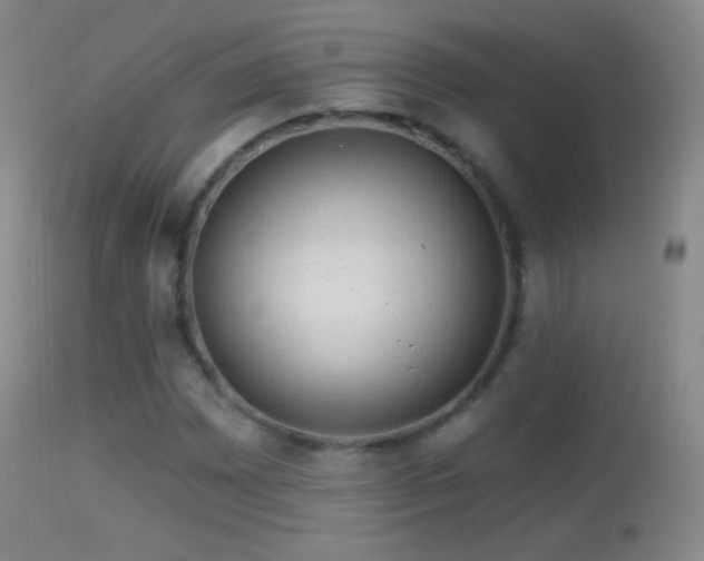 X0000114651065200910201503