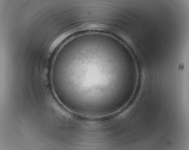 X0000114651066200910201503