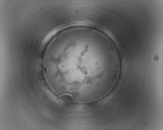 X0000114651067200910201503