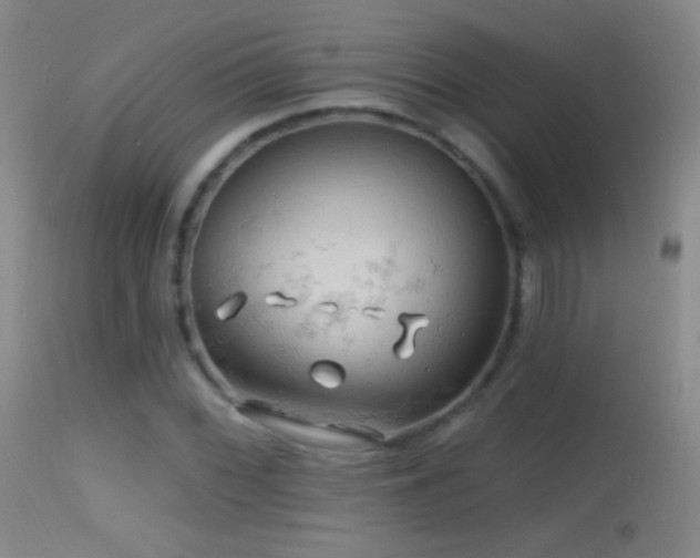 X0000114651068200910201503