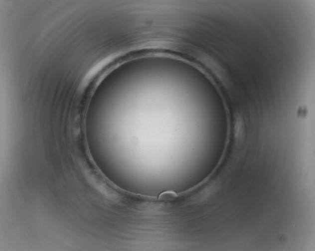 X0000114651069200910201503