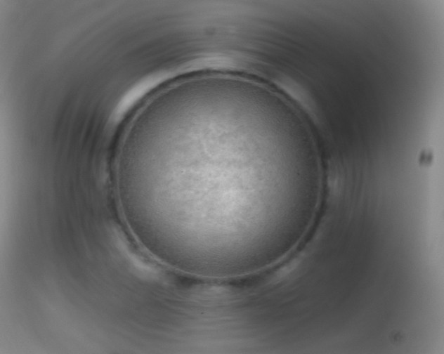 X0000114651070200910201503