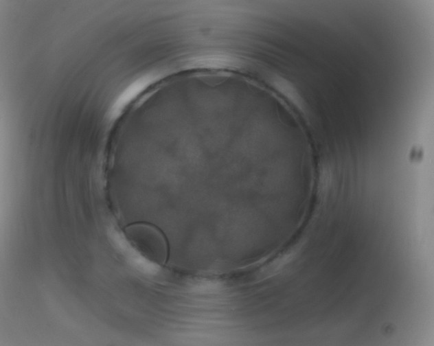 X0000114651071200910201503