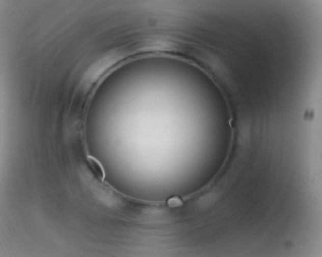 X0000114651073200910201503