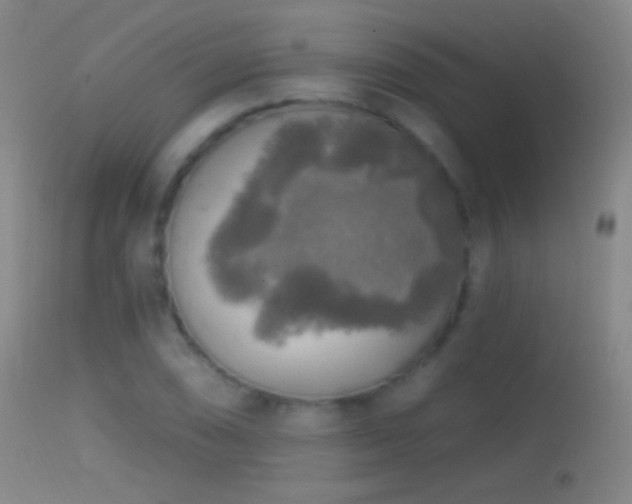 X0000114651074200910201503