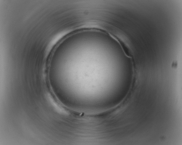 X0000114651076200910201503