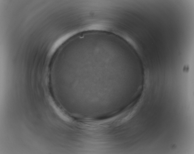 X0000114651077200910201503