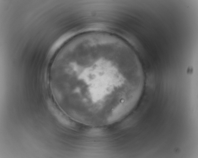 X0000114651078200910201503