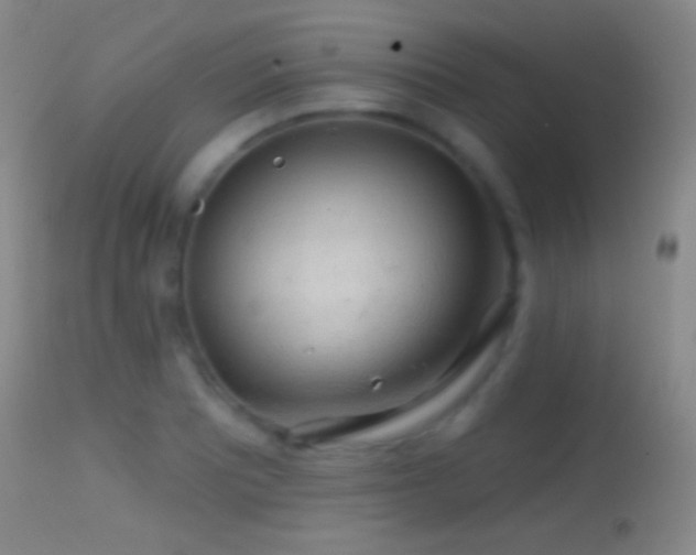 X0000114651081200910201503