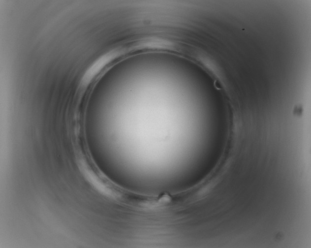 X0000114651082200910201503