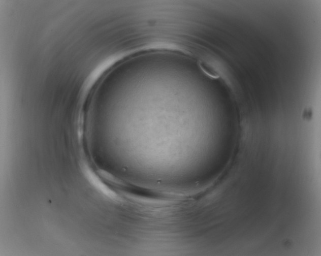X0000114651084200910201503