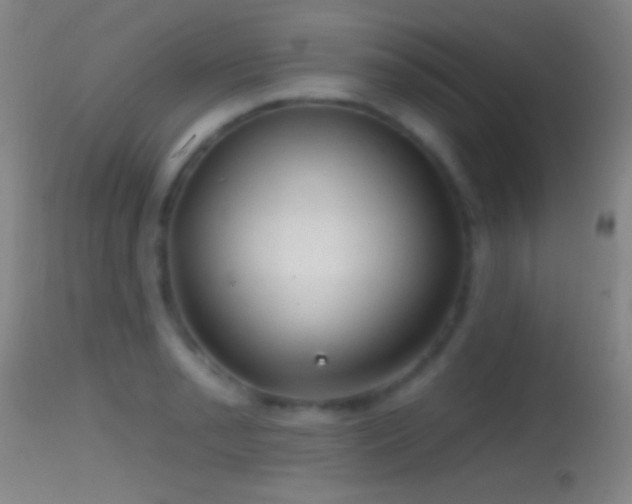 X0000114651085200910201503
