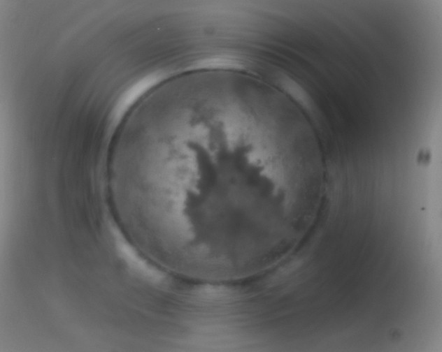 X0000114651087200910201503