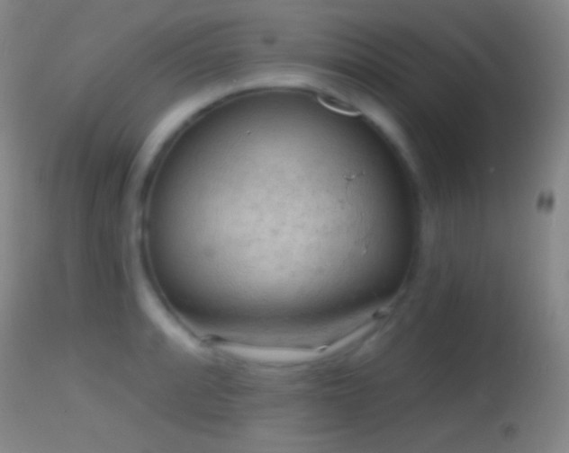 X0000114651088200910201503