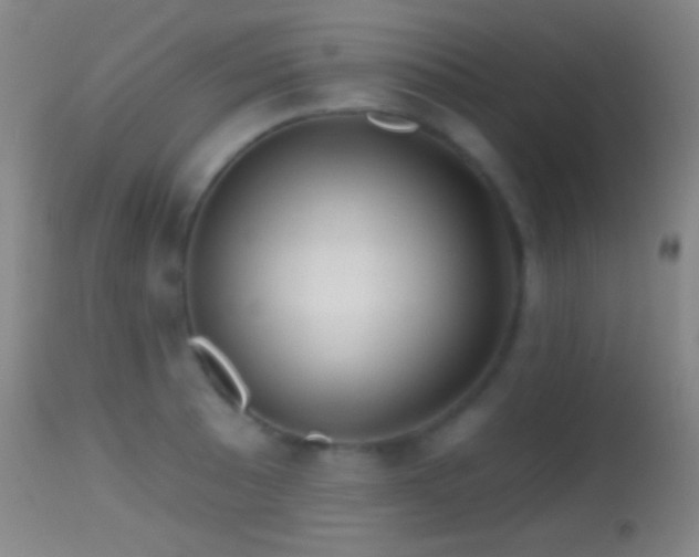 X0000114651089200910201503