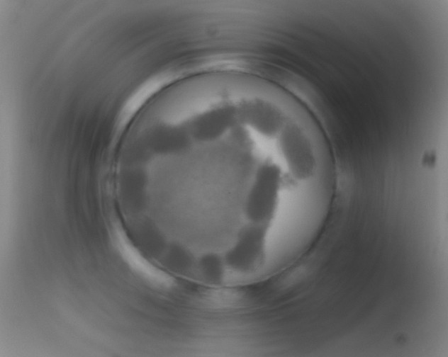 X0000114651090200910201503