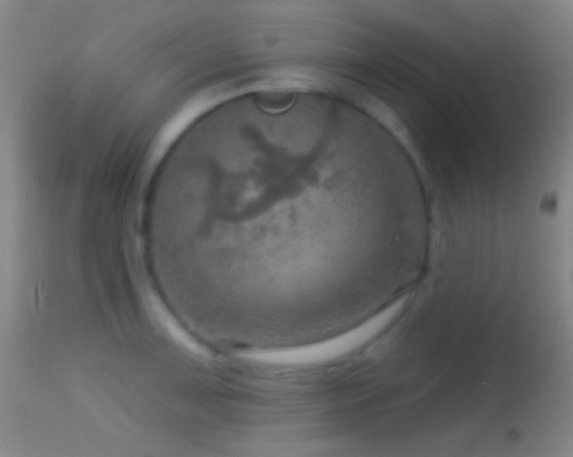 X0000114651091200910201503