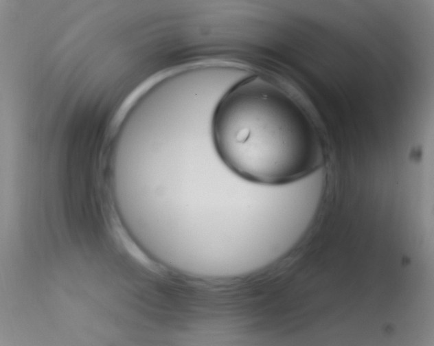 X0000114651092200910201503