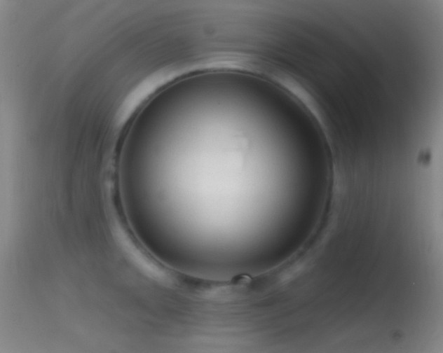 X0000114651093200910201503
