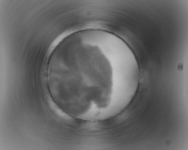 X0000114651094200910201503
