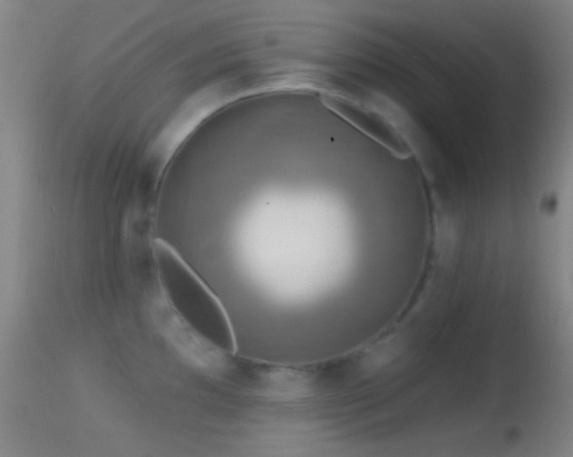 X0000114651097200910201503