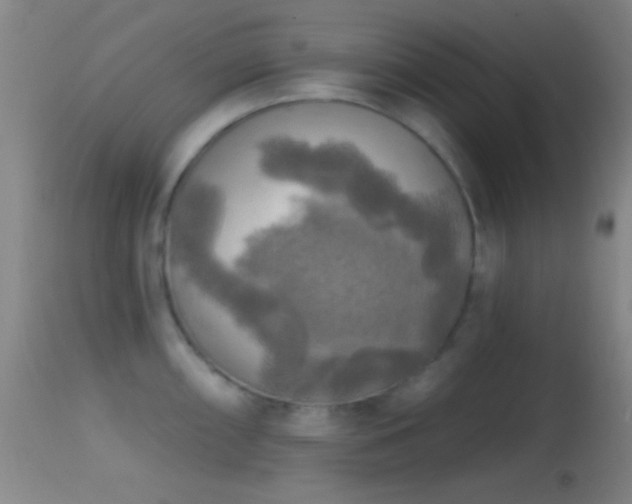 X0000114651098200910201503