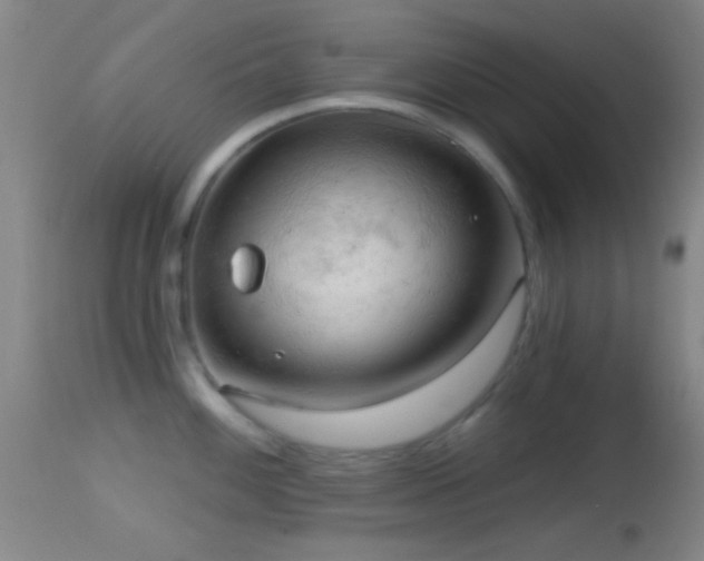 X0000114651100200910201503