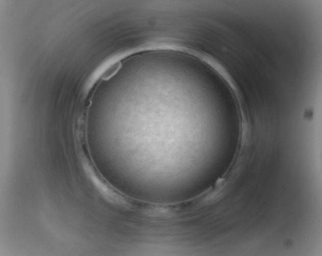 X0000114651101200910201503