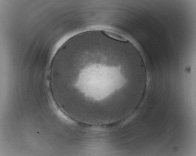 X0000114651102200910201503