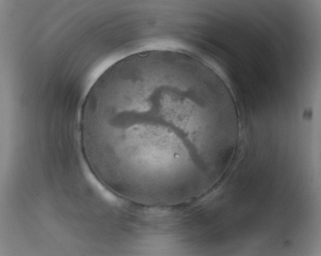 X0000114651103200910201503