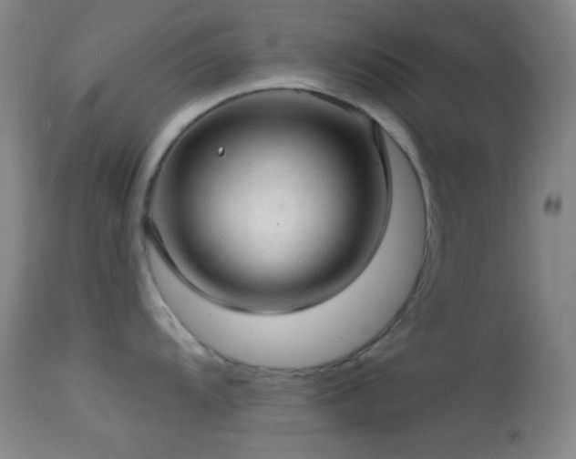 X0000114651104200910201503