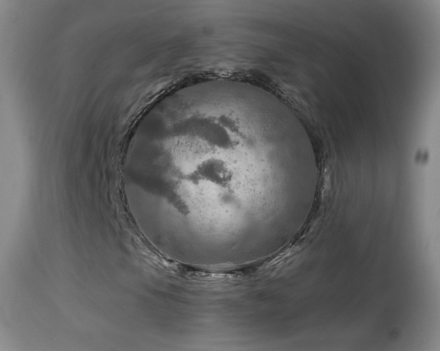 X0000114651105200910201502