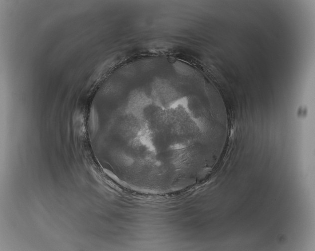 X0000114651106200910201502