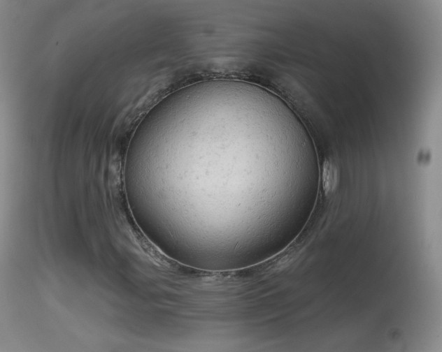 X0000114651107200910201502