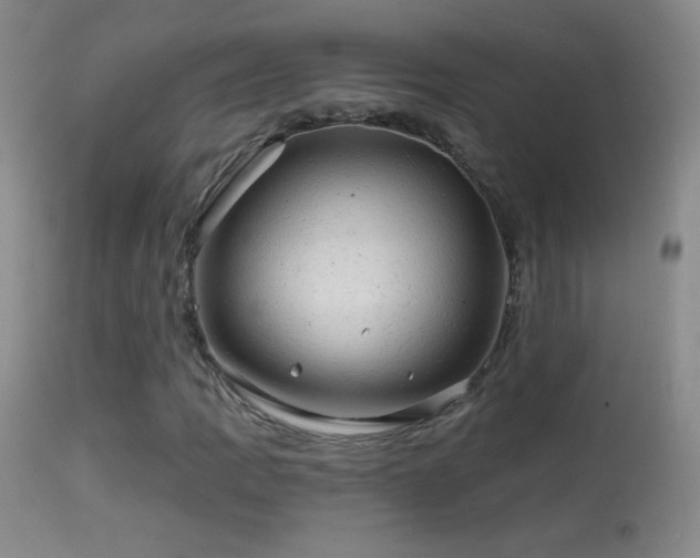 X0000114651109200910201502