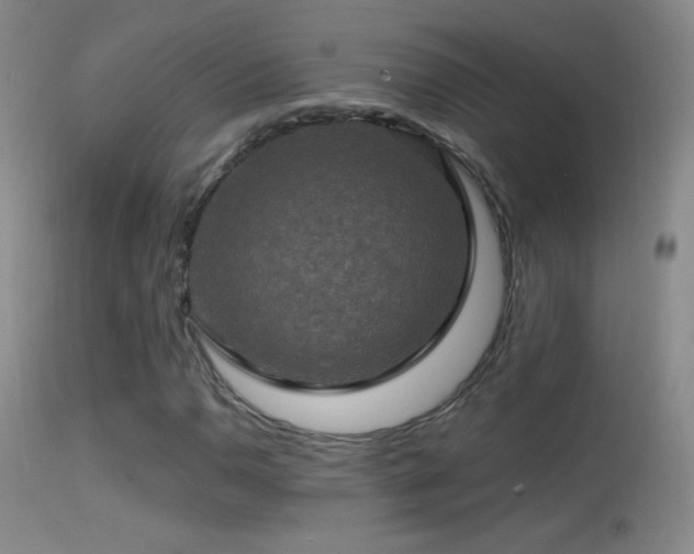 X0000114651110200910201502