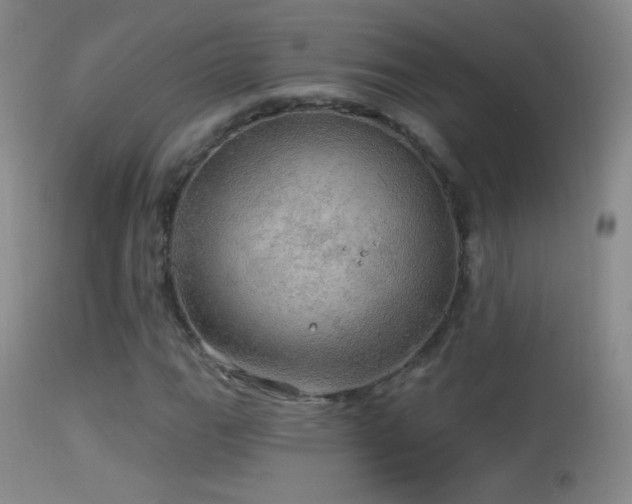 X0000114651111200910201502