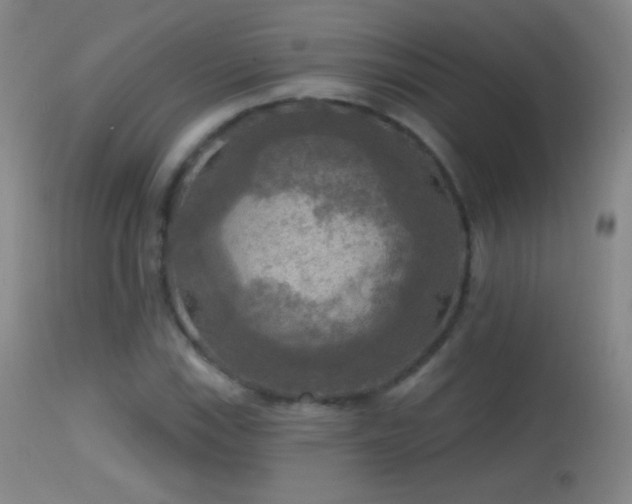 X0000114651115200910201502