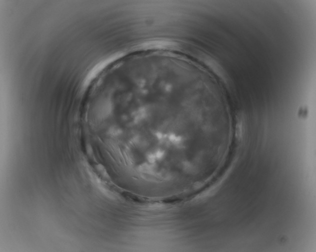X0000114651117200910201502