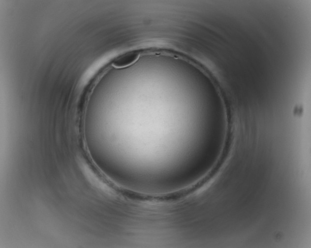 X0000114651118200910201502