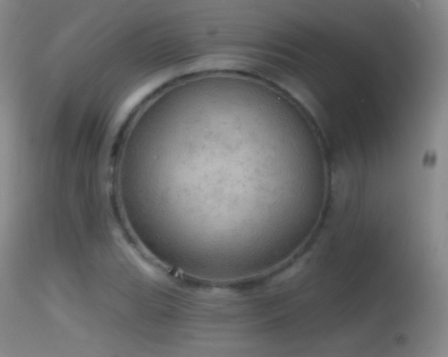X0000114651119200910201502