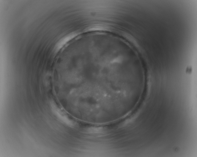 X0000114651121200910201502