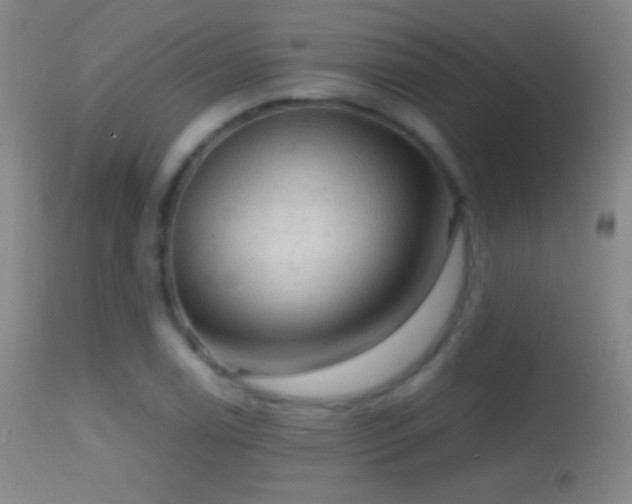 X0000114651122200910201502