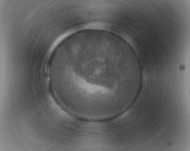X0000114651123200910201502
