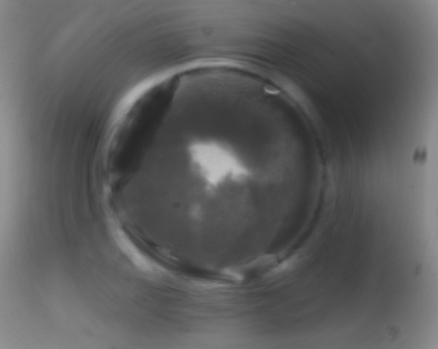 X0000114651127200910201502