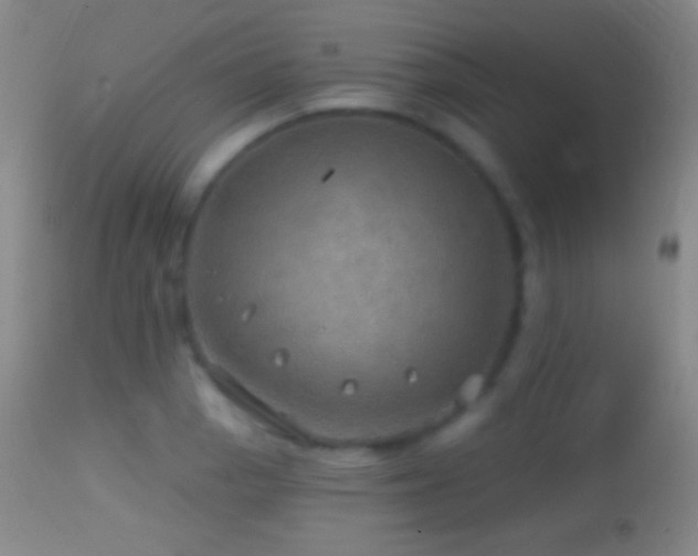 X0000114651129200910201502